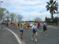 tarquini_9002