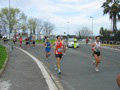 tarquini_9003