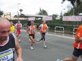 tarquini_9004