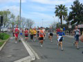 tarquini_9008