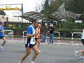 tarquini_9011
