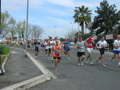 tarquini_9013