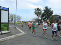 tarquini_9024