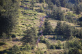 gransasso08_072