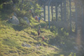 gransasso08_077