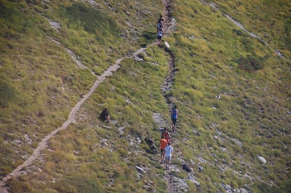 Ecotrail del Gran Sasso (10/08/2008) gransasso08_080