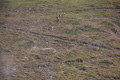 gransasso08_084