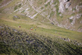 gransasso08_088