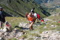 gransasso08_125