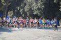 frascati-048