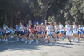 frascati-051