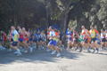 frascati-054