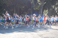 frascati-055