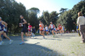 frascati-063