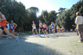 frascati-064