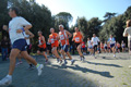 frascati-071