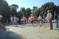 frascati-082
