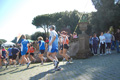 frascati-084