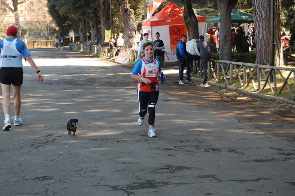 Giro delle Ville Tuscolane (25/04/2008) frascati-172