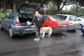 sstefano_6919
