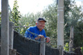 colonna_3619