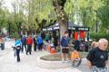 tagliacozzo_1238