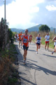 colonna_3447