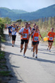 colonna_3574