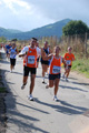 colonna_3577