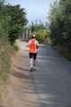 colonna_3662
