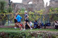 novembrino_1559
