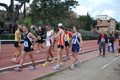 novembrino_1749