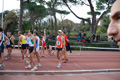 novembrino_1754