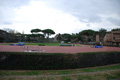 novembrino_2182