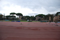 novembrino_2184