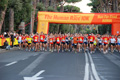 runforfood_4188