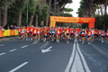 runforfood_4191