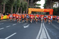 runforfood_4192