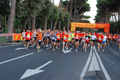 runforfood_4194