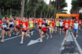 runforfood_4196