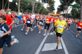 runforfood_4205