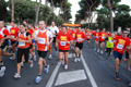 runforfood_4212