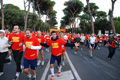 runforfood_4238