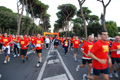 runforfood_4253
