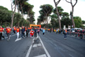 runforfood_4262