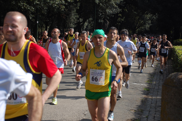 Giro delle Ville Tuscolane (25/04/2009) frascatipino_044