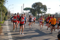 miguel_0539