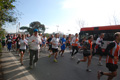 miguel_0748
