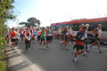 miguel_0798