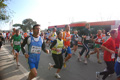 miguel_0801